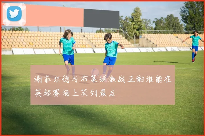 谢菲尔德与布莱顿激战正酣谁能在英超赛场上笑到最后