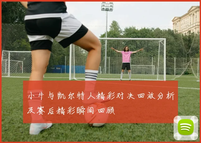 小牛与凯尔特人精彩对决回放分析及赛后精彩瞬间回顾
