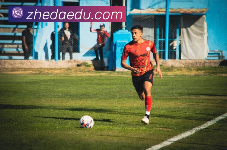 新葡萄8883AMG品牌故事