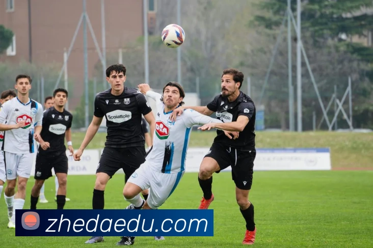 新葡萄8883AMG服务体系